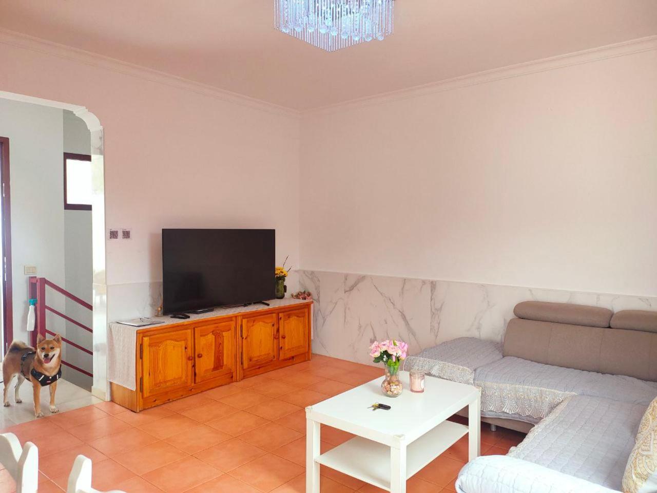 Big Villa Puerto Rico Streetfront With Private Saltwater Jacuzzi Pool, Bbq, Kitchen & 3 Terraces Near Shopping Center Puerto Rico (Gran Canaria) Buitenkant foto